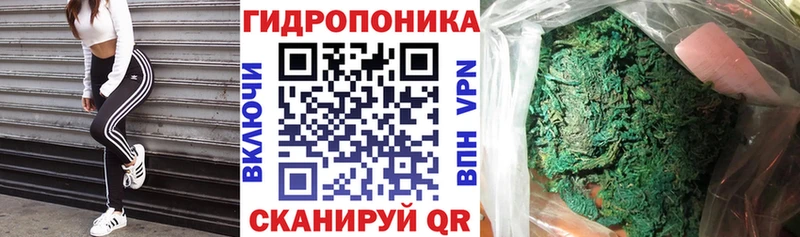 Где можно купить наркотики Ладушкин АМФЕТАМИН Альфа ПВП Мефедрон МАРИХУАНА Гашиш