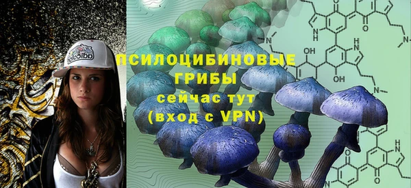 МДПВ Абаза