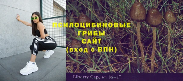 кристаллы Алзамай