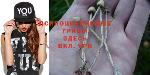 ALPHA PVP Абдулино