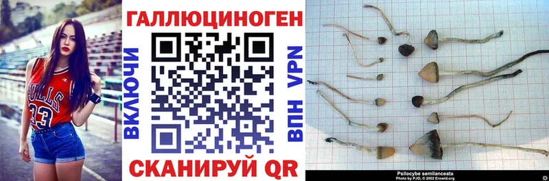 Галлюциногенные грибы мицелий  МЕГА маркетплейс  Ладушкин 